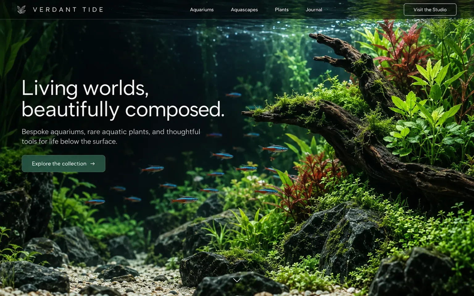 Example website for a aquarium and aquascaping shop