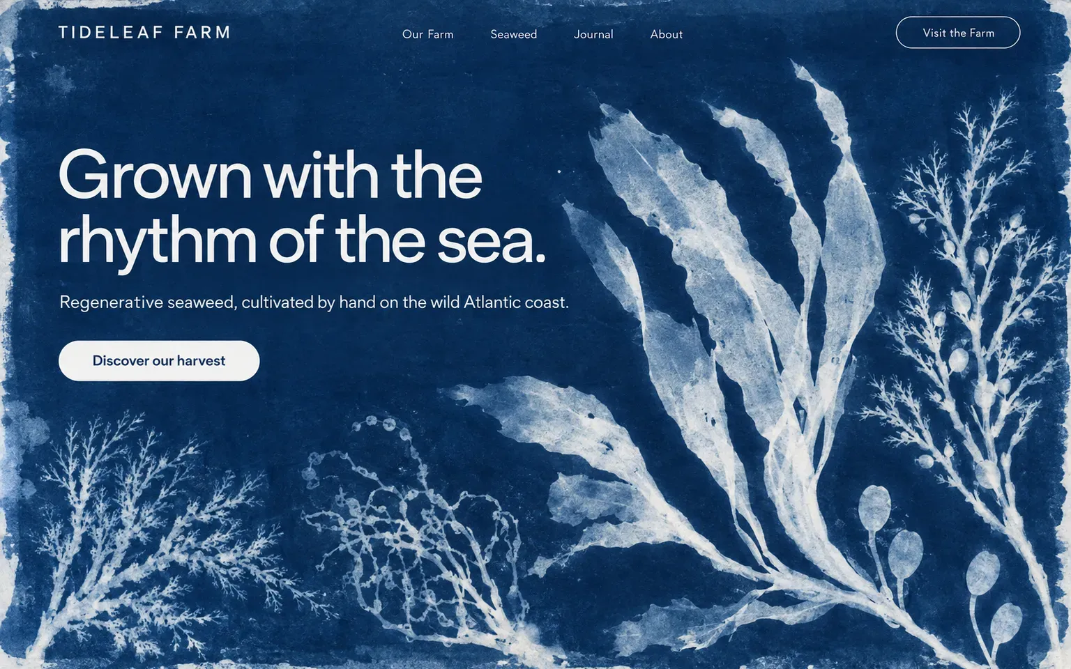 Example website whose artwork is cyanotype