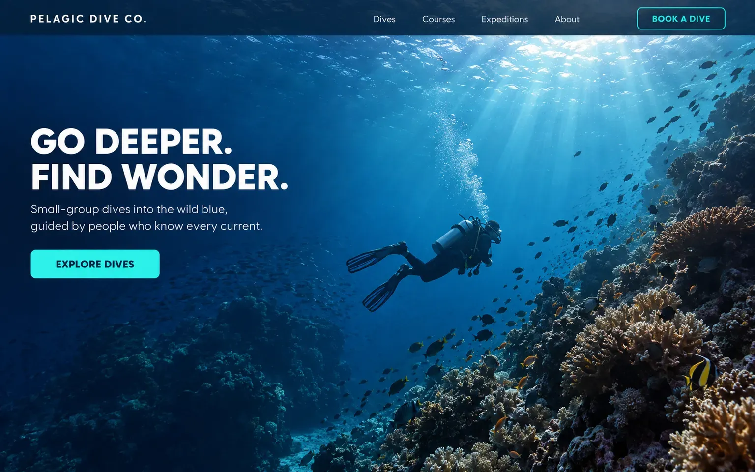 Example website for a scuba diving centre