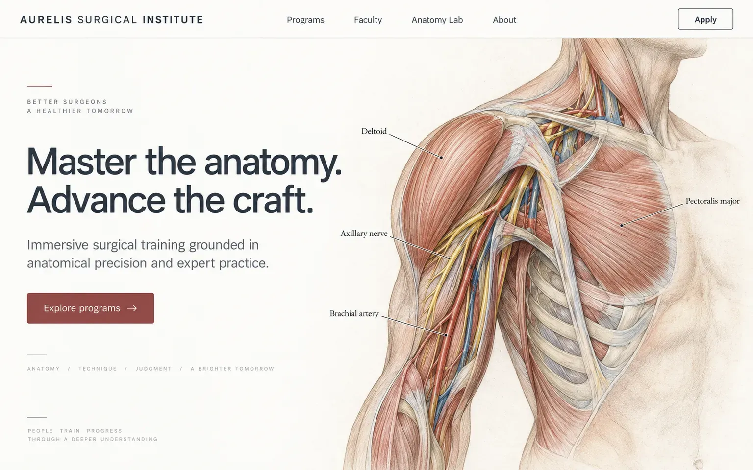 Example website whose artwork is medical illustration