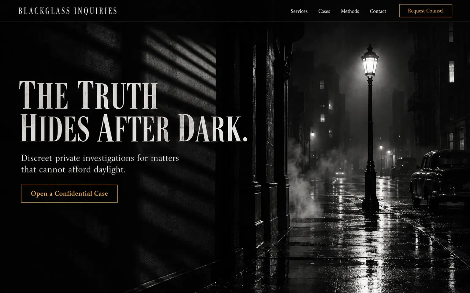 Example website designed in the Film noir style