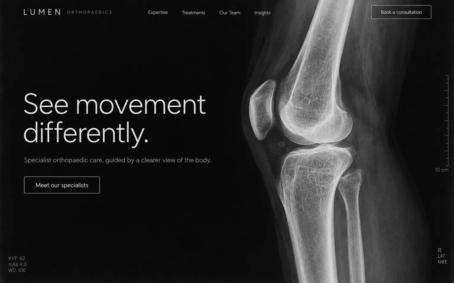 Example website whose artwork is radiographic imaging