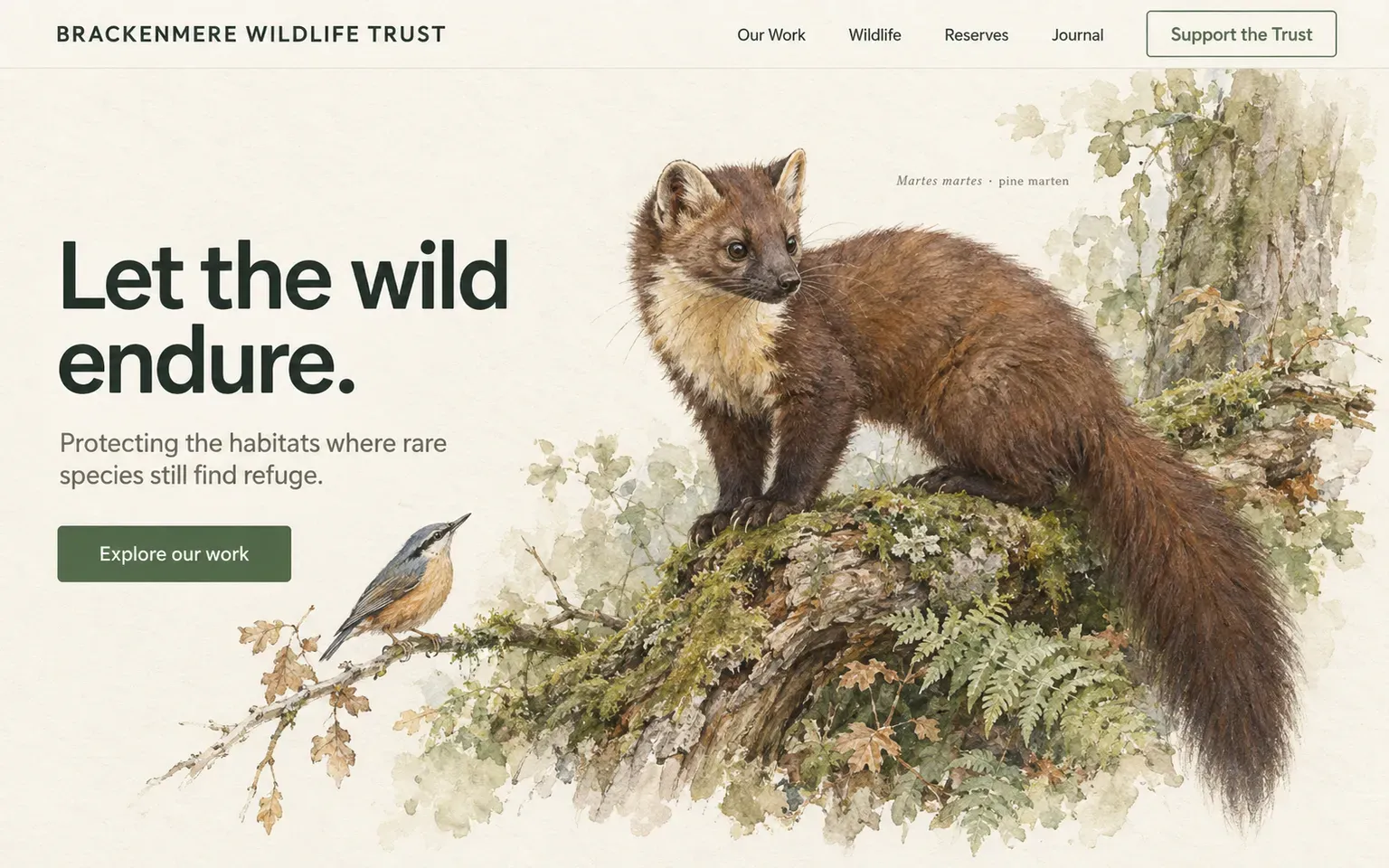 Example website whose artwork is naturalist wildlife art