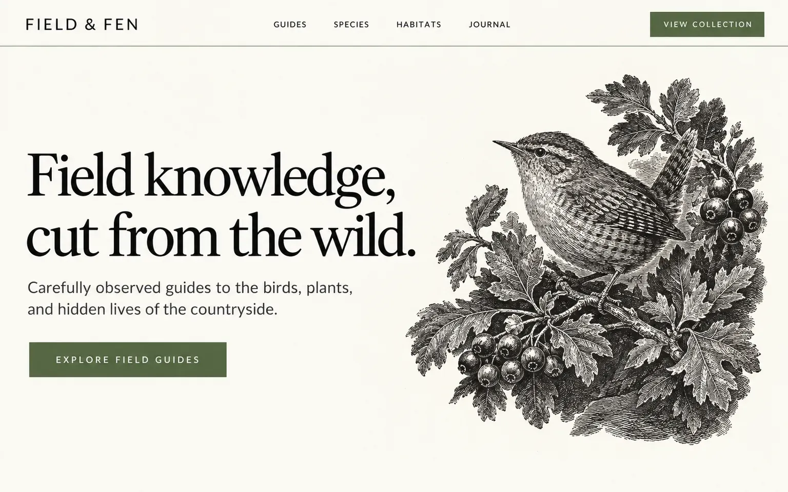 Example website whose artwork is wood engraving in the bewick manner